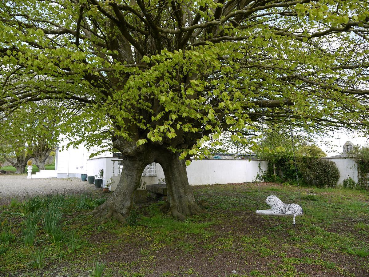 The Carriage Houses At Beechpark House Bunratty Esterno foto